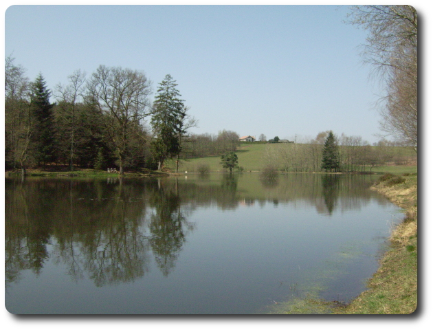 L'étang de la Demoiselle, à Saint-Nabord