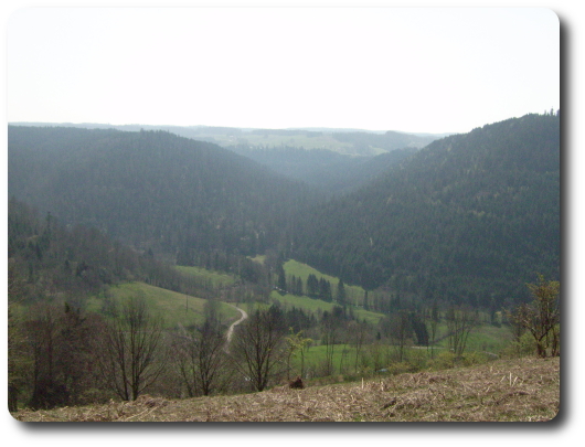 La haute vallée de la Combeauté, à la sortie de la Forêt Domaniale d'Hérival