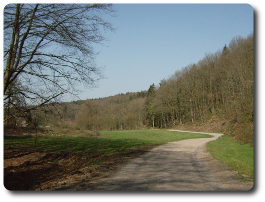 Route Forestire d'Haumantarde