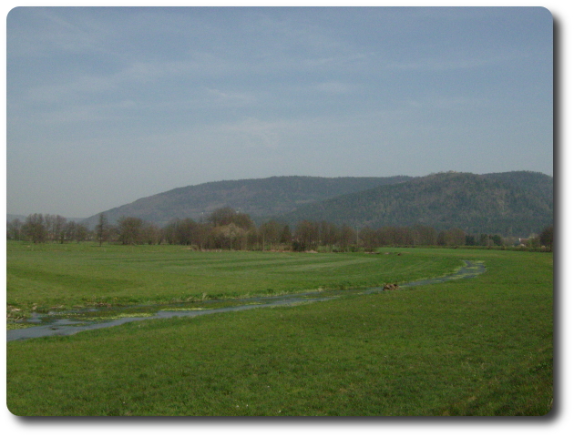 La vallée à Dommartin-lès-Remiremont, à la jonction de la Moselle et de la Moselotte