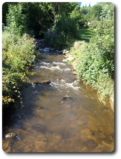 Le Ruisseau de la Croslière, à La Longine